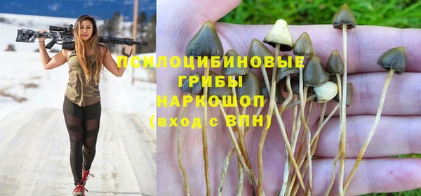 молекула духа Абдулино