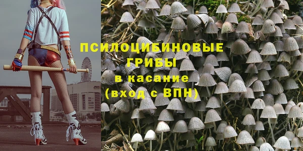 марихуана Абаза
