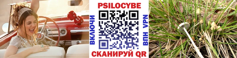 Псилоцибиновые грибы Magic Shrooms  Балаково 